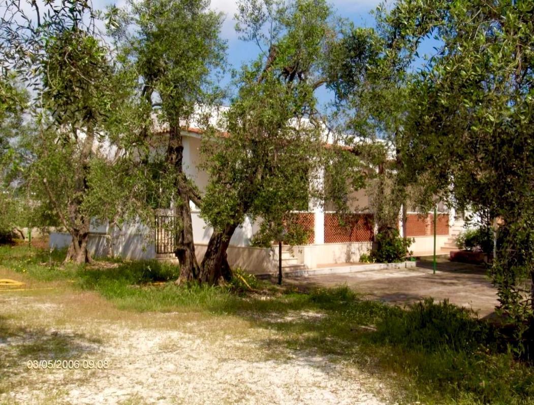 Villa Margherita 维耶斯泰 外观 照片