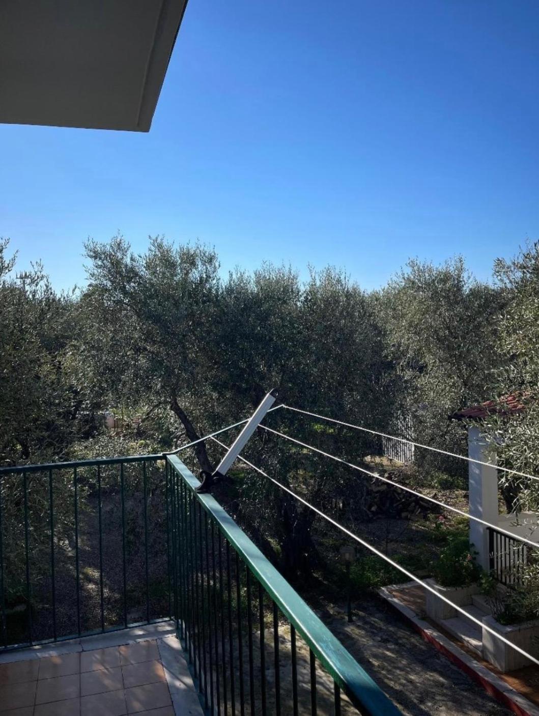 Villa Margherita 维耶斯泰 外观 照片